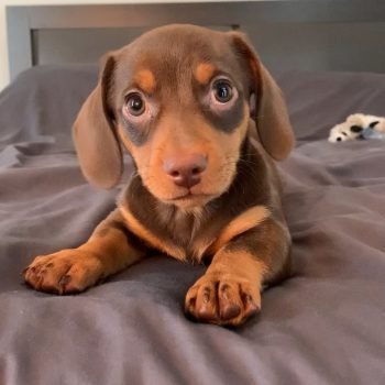 Bryan (10) Bryan (10)